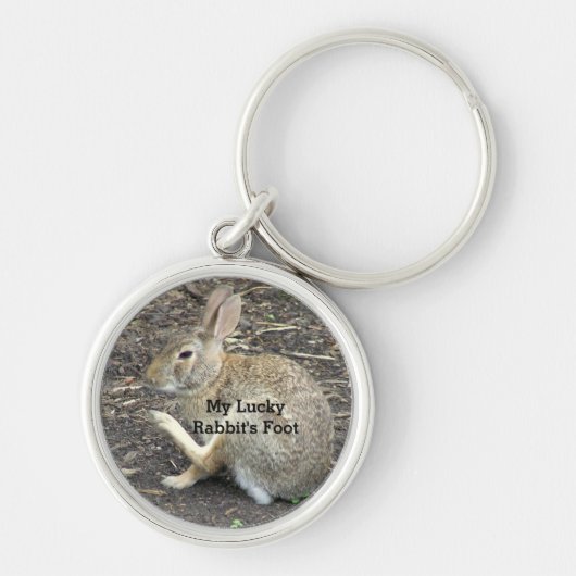 "CUTE BUNNY RABBIT, "MY LUCKY RABBIT'S FOOT" SLEUTELHANGER (Voorkant)