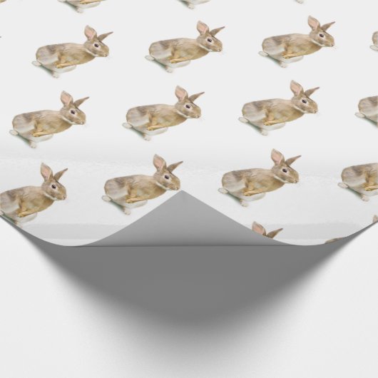 Cute Bunny Rabbit on White Cadeaupapier (Hoek)