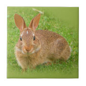 Cute Bunny Rabbit op de Golf Green Tegeltje (Voorkant)