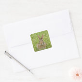 Cute Bunny Rabbit Vierkante Sticker (Envelop)