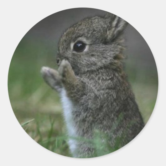 Cute Bunny Ronde Sticker (Voorkant)