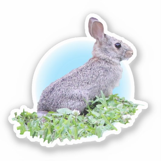 Cute Bunny Sticker (Voorkant)