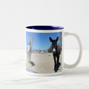 Cute Burros Friendship Tweekleurige Koffiemok