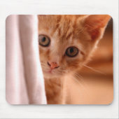 Cute Butterscotch Kitten Muismat (Voorkant)
