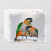 Cute Caique Parrot Paar Bird Briefkaart (Voorkant / Achterkant)