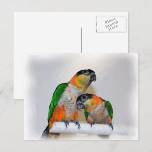 Cute Caique Parrot Paar Bird Briefkaart (Voorkant / Achterkant)