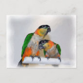 Cute Caique Parrot Paar Bird Briefkaart (Voorkant)