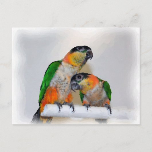 Cute Caique Parrot Paar Bird Briefkaart (Voorkant)