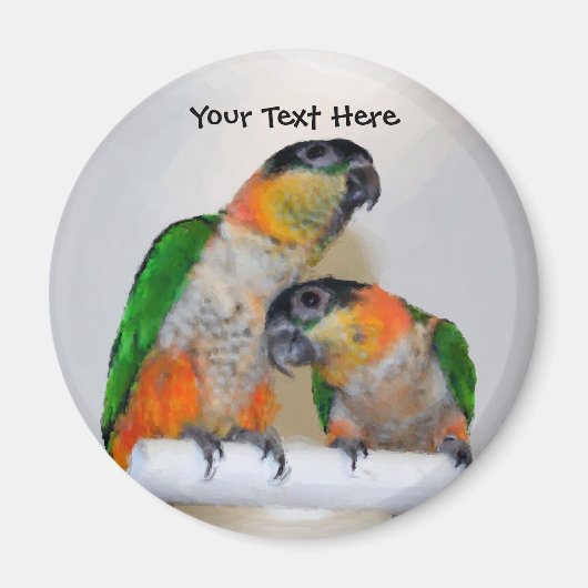 Cute Caique Parrot Pair Animal Magnet (Voorkant)