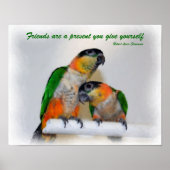 Cute Caique Parrot Pair Friends Quote Poster (Voorkant)