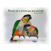 Cute Caique Parrot Pair Friends Quote