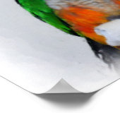 Cute Caique Parrots Inspirerend Quote Poster (Hoek)
