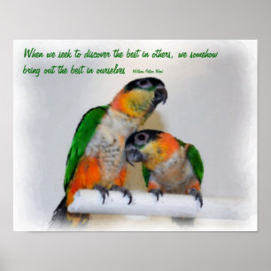 Cute Caique Parrots Inspirerend Quote Poster