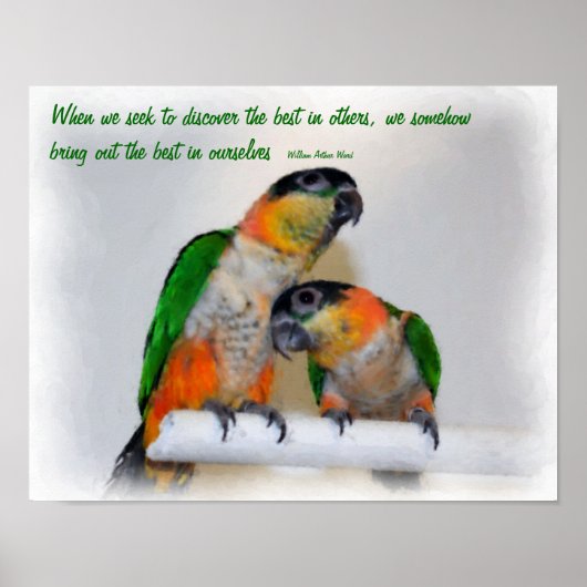 Cute Caique Parrots Inspirerend Quote Poster (Voorkant)