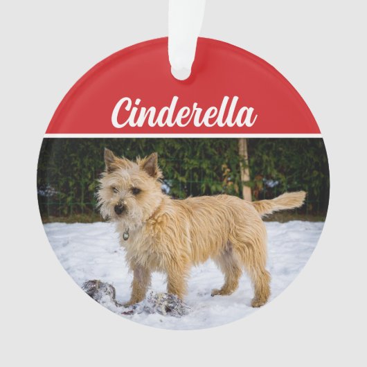 Cute Cairn Terrier Dog Holiday kerstfoto Ornament (voorkant)