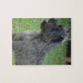 Cute Cairn Terrier Legpuzzel (Horizontaal)
