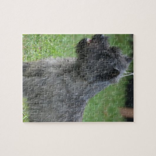 Cute Cairn Terrier Legpuzzel (Horizontaal)