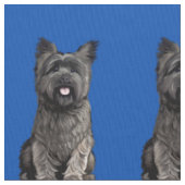 Cute Cairn Terrier Stof (Close Up)