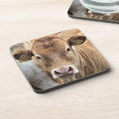 CUTE CALF BIER ONDERZETTER (Linkerzijde)