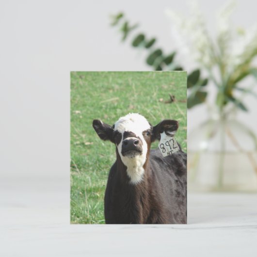 Cute Calf Briefkaart (Staand voorkant)