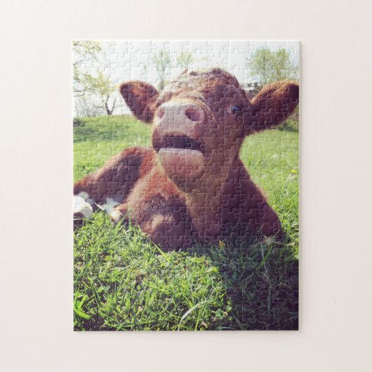 Cute Calf in het grasland Legpuzzel (Verticaal)
