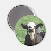 Cute Calf Magneet (Voorkant / Achterkant)