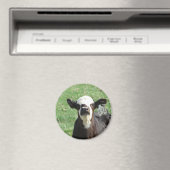 Cute Calf Magneet (Insitu (Vaatwasser))