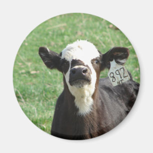 Cute Calf Magneet