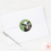 Cute Calf Ronde Sticker (Envelop)