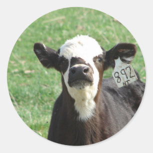 Cute Calf Ronde Sticker