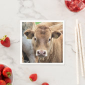 CUTE CALF SERVET (Insitu)