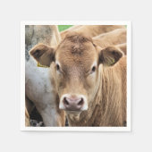 CUTE CALF SERVET (Voorkant)