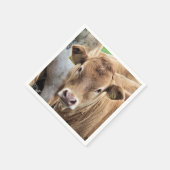 CUTE CALF SERVET (Hoek)