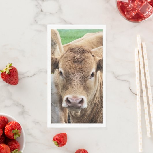 CUTE CALF SERVET (Insitu)