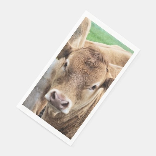 CUTE CALF SERVET (Hoek)