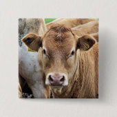 CUTE CALF VIERKANTE BUTTON 5,1 CM (Voorkant)