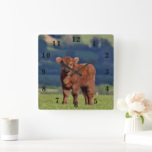 Cute Calf Vierkante Klok (Huis)