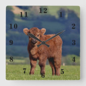 Cute Calf Vierkante Klok (Voorkant)