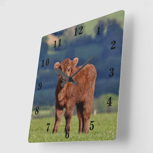 Cute Calf Vierkante Klok (Hoek)