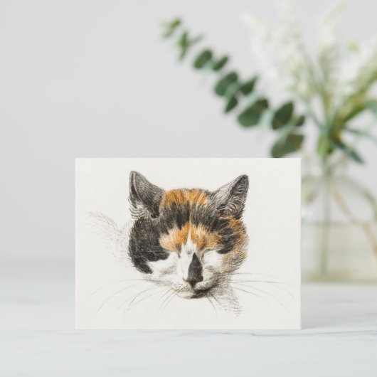 Cute Calico Cat Briefkaart (Staand voorkant)