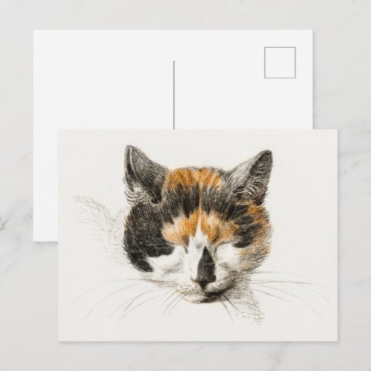 Cute Calico Cat Briefkaart (Voorkant / Achterkant)