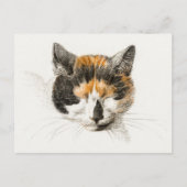 Cute Calico Cat Briefkaart (Voorkant)