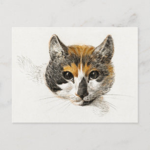 Cute Calico Cat Briefkaart