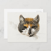 Cute Calico Cat Briefkaart (Voorkant / Achterkant)