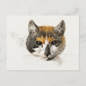 Cute Calico Cat Briefkaart (Voorkant)