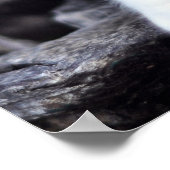 Cute Calico Cat: "Geen generiek voedsel meer!" Pos Poster (Hoek)