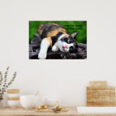 Cute Calico Cat: "Geen generiek voedsel meer!" Pos Poster (Keuken)