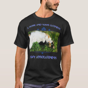 Cute Calico Cat Graphic Photography Text Beauful T-shirt