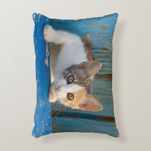 Cute Calico Cat Kitten Funny Curious Eyes Foto -/ Accent Kussen (Voorkant(Verticaal))