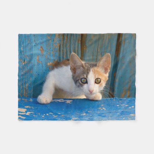 Cute Calico Cat Kitten Funny Curious Eyes Foto __ Fleece Deken (Voorkant (Horizontaal))